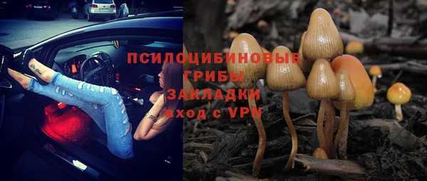 соль курить ск Арсеньев